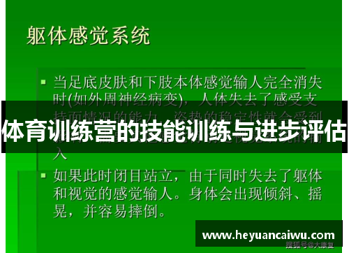 体育训练营的技能训练与进步评估
