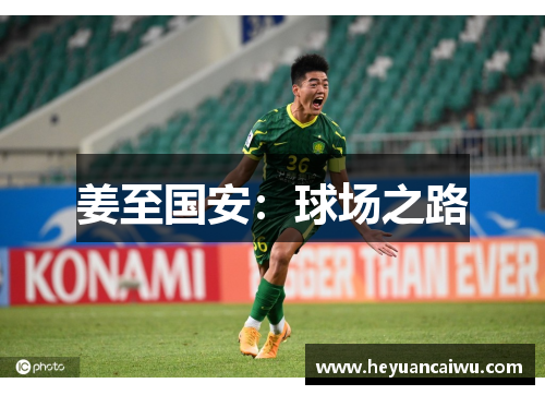 姜至国安：球场之路